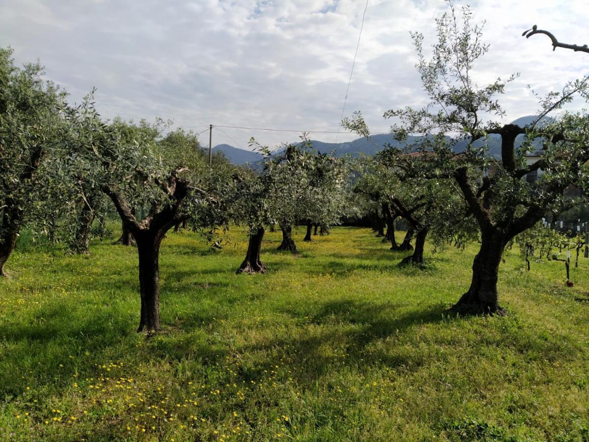Agriturismo La Vite Maritata ピエトラサンタ エクステリア 写真