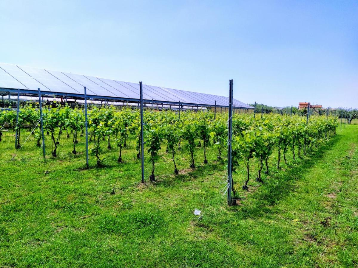 Agriturismo La Vite Maritata ピエトラサンタ エクステリア 写真